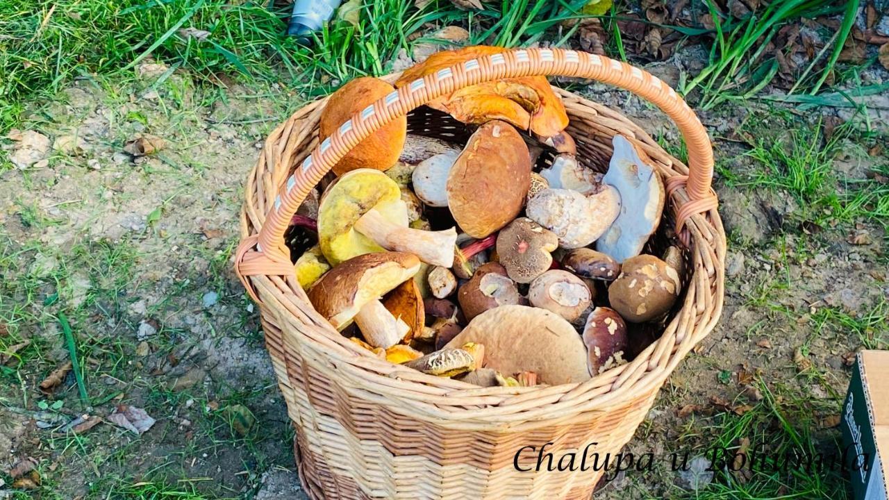 Chalupa U Bohumila Rybna nad Zdobnici Exterior foto