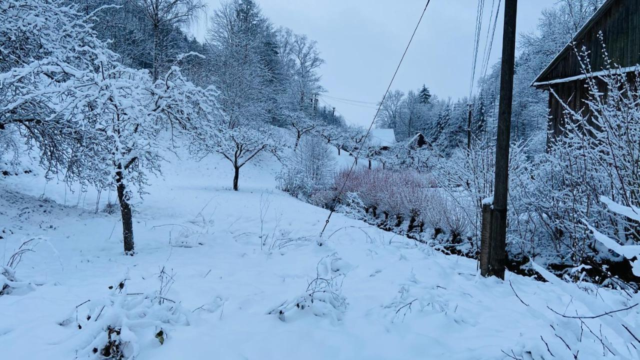 Chalupa U Bohumila Rybna nad Zdobnici Exterior foto